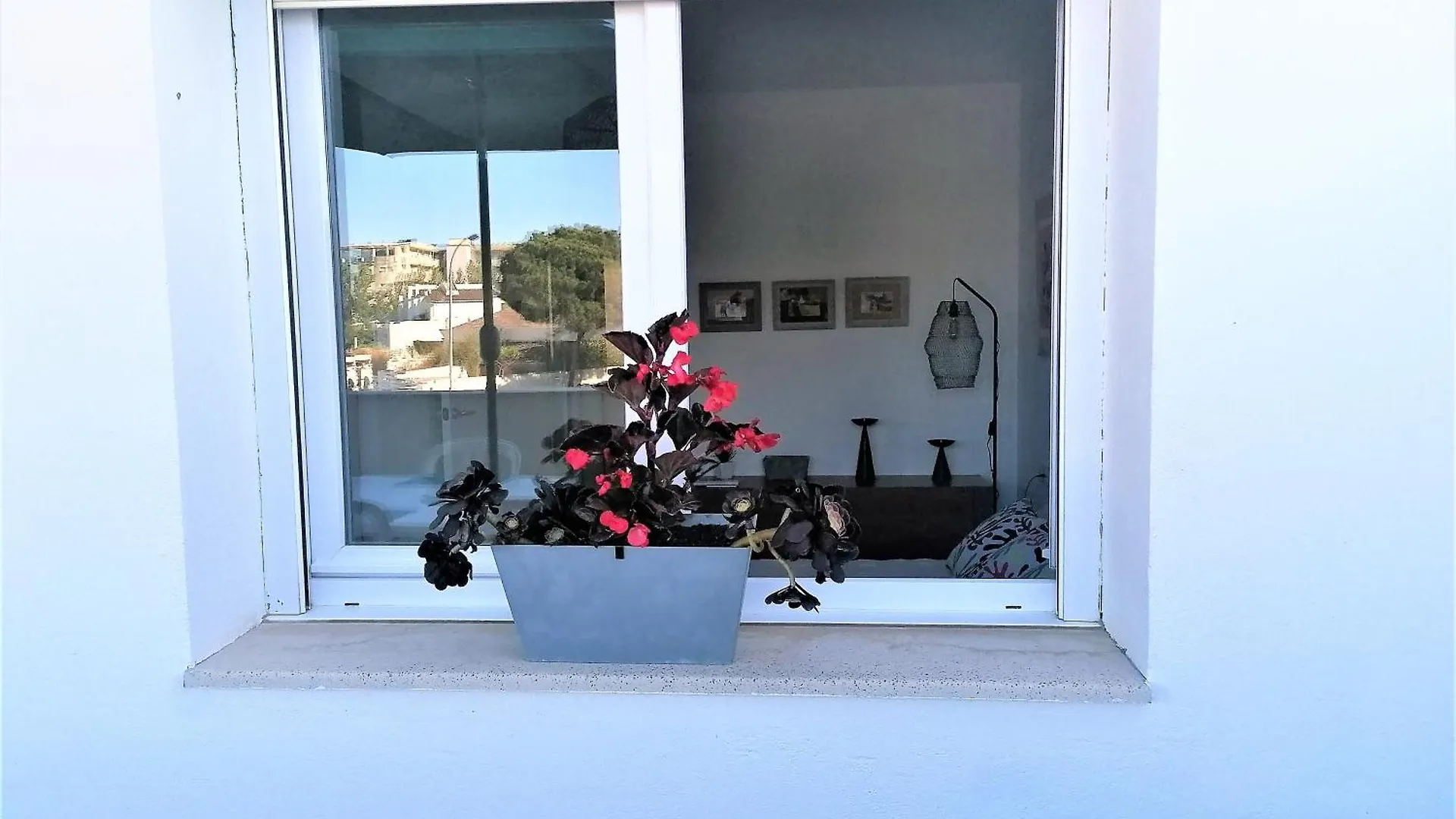 Global Immo 3365 Vigata Appartement Roses 0*,
